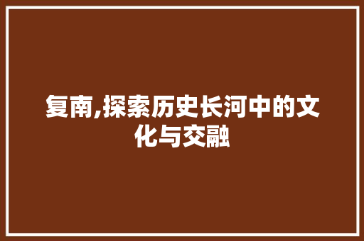 复南,探索历史长河中的文化与交融