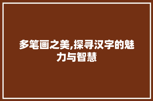 多笔画之美,探寻汉字的魅力与智慧