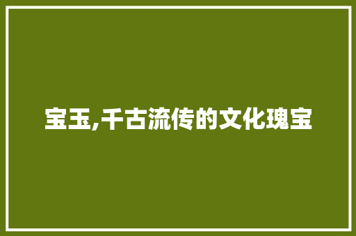 宝玉,千古流传的文化瑰宝 第1张 宝玉,千古流传的文化瑰宝 第1张