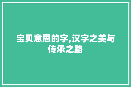 宝贝意思的字,汉字之美与传承之路