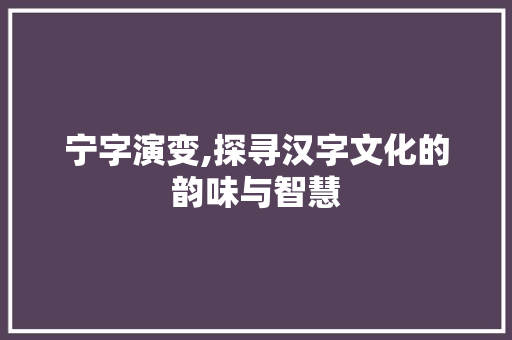 宁字演变,探寻汉字文化的韵味与智慧