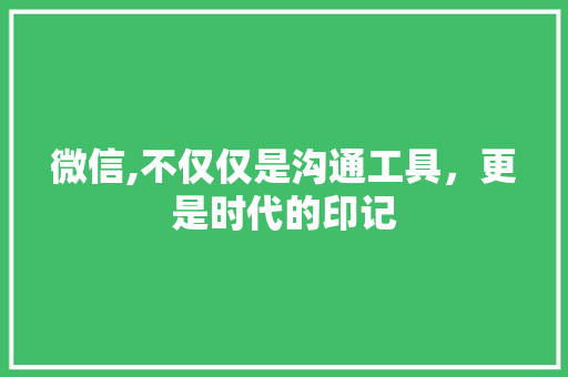 微信,不仅仅是沟通工具,更是时代的印记