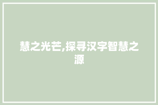 慧之光芒,探寻汉字智慧之源