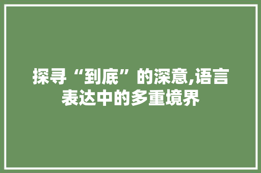 探寻“到底”的深意,语言表达中的多重境界