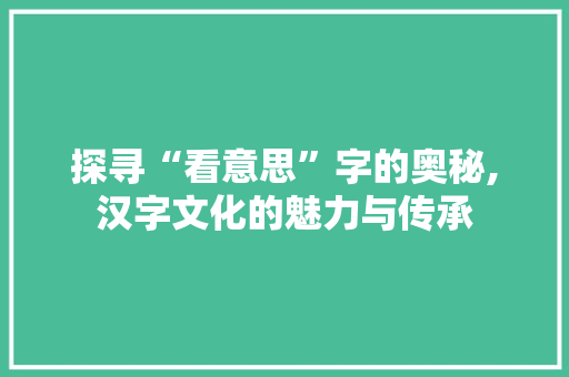 探寻“看意思”字的奥秘,汉字文化的魅力与传承