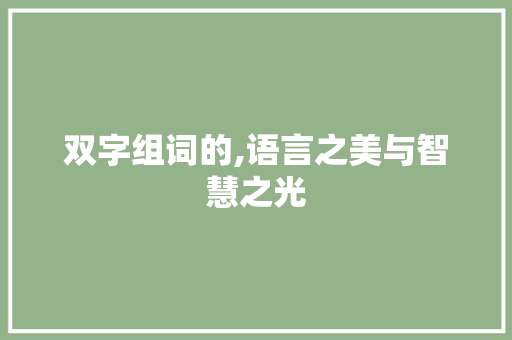 双字组词的,语言之美与智慧之光