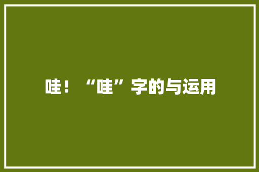 哇！“哇”字的与运用
