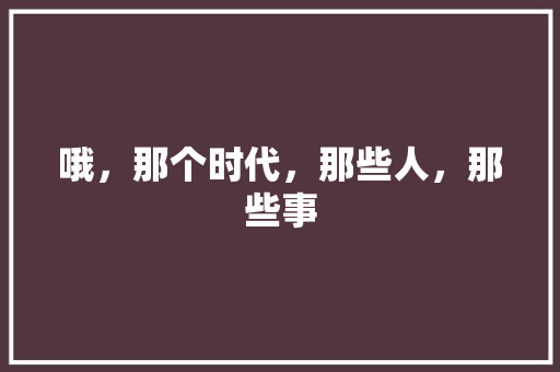 哦，那个时代，那些人，那些事