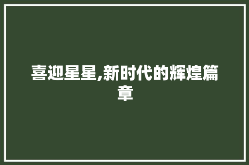 喜迎星星,新时代的辉煌篇章