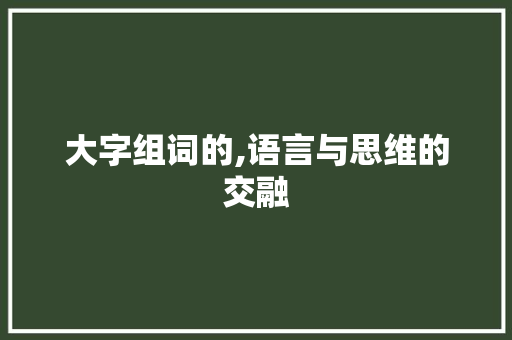 大字组词的,语言与思维的交融