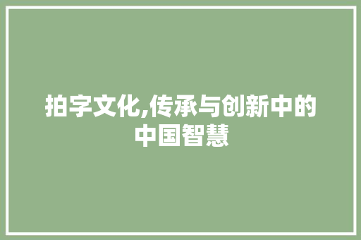 拍字文化,传承与创新中的中国智慧