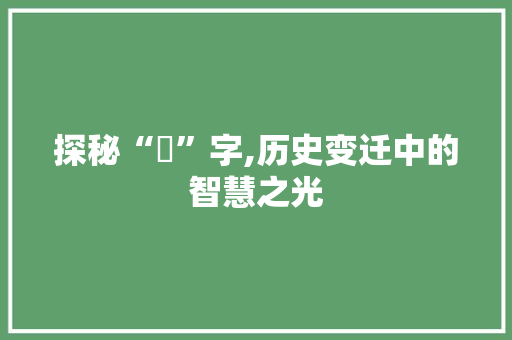 探秘“暸”字,历史变迁中的智慧之光
