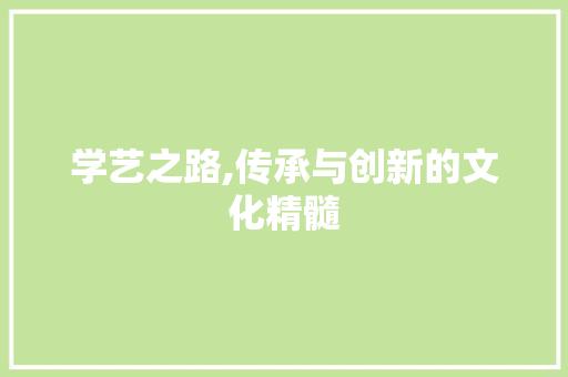 学艺之路,传承与创新的文化精髓