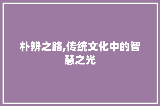 朴辨之路,传统文化中的智慧之光