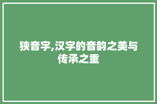 狭音字,汉字的音韵之美与传承之重