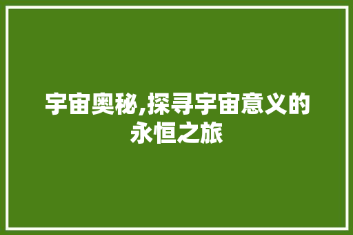 宇宙奥秘,探寻宇宙意义的永恒之旅
