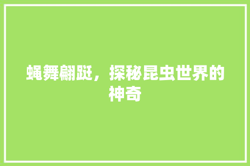 蝇舞翩跹，探秘昆虫世界的神奇