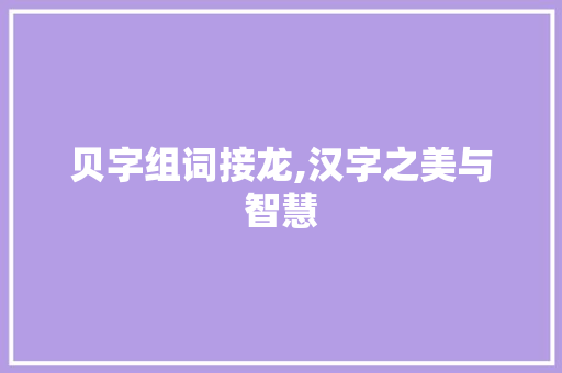 贝字组词接龙,汉字之美与智慧