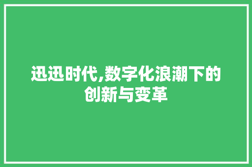 迅迅时代,数字化浪潮下的创新与变革