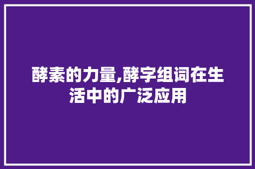 酵素的力量,酵字组词在生活中的广泛应用