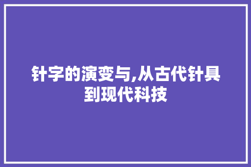 针字的演变与,从古代针具到现代科技