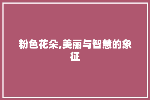 粉色花朵,美丽与智慧的象征