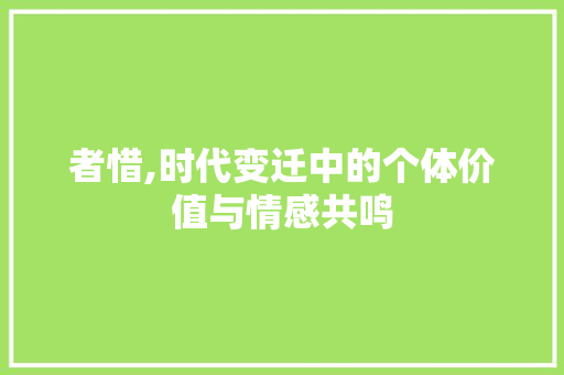 者惜,时代变迁中的个体价值与情感共鸣