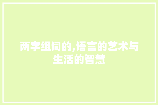 两字组词的,语言的艺术与生活的智慧