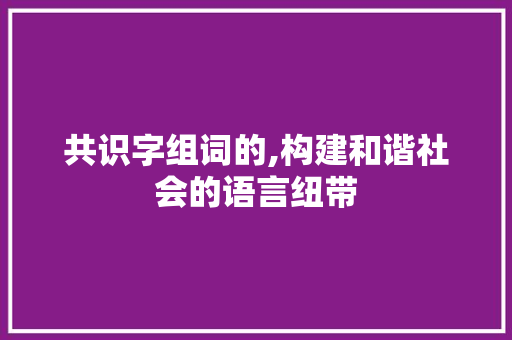 共识字组词的,构建和谐社会的语言纽带