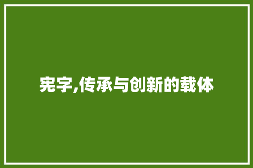 宪字,传承与创新的载体