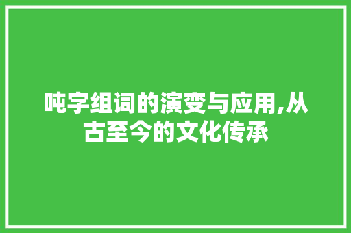 吨字组词的演变与应用,从古至今的文化传承