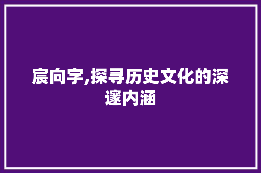 宸向字,探寻历史文化的深邃内涵