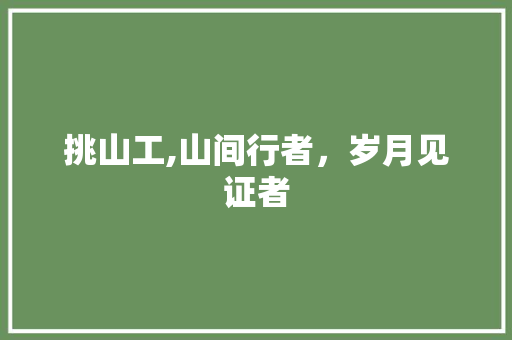 挑山工,山间行者，岁月见证者