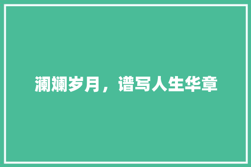 澜斓岁月,谱写人生华章 第1张 澜斓岁月,谱写人生华章 第1张