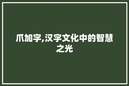 爪加字,汉字文化中的智慧之光