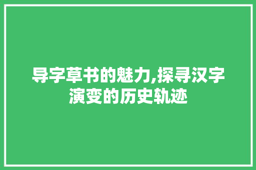 导字草书的魅力,探寻汉字演变的历史轨迹