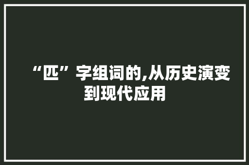 “匹”字组词的,从历史演变到现代应用