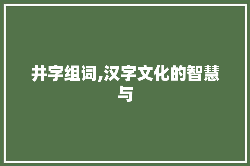 井字组词,汉字文化的智慧与