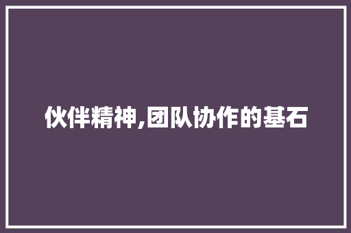 伙伴精神,团队协作的基石