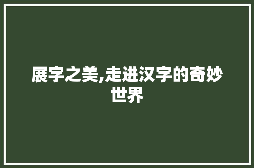 展字之美,走进汉字的奇妙世界