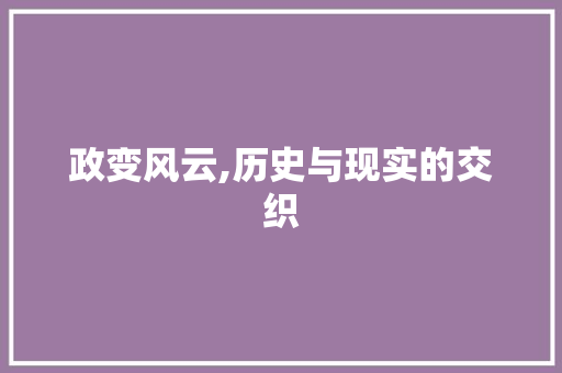 政变风云,历史与现实的交织