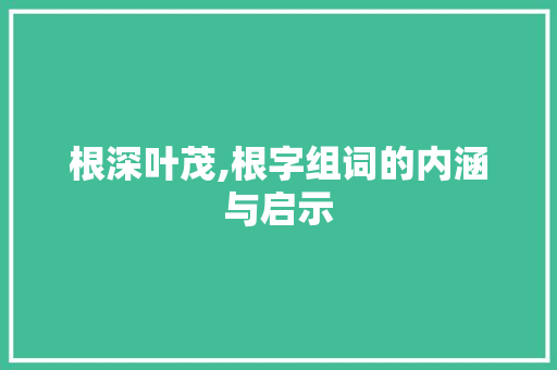 根深叶茂,根字组词的内涵与启示