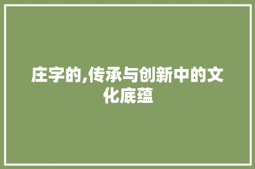 庄字的,传承与创新中的文化底蕴