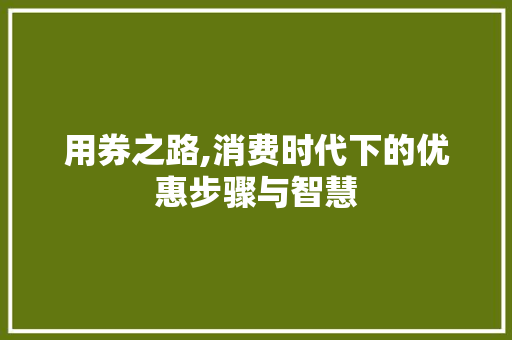 用券之路,消费时代下的优惠步骤与智慧