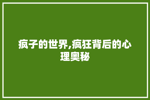 疯子的世界,疯狂背后的心理奥秘