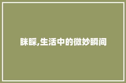 眯睬,生活中的微妙瞬间