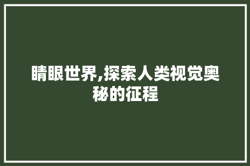 睛眼世界,探索人类视觉奥秘的征程