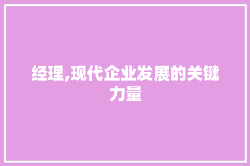 经理,现代企业发展的关键力量