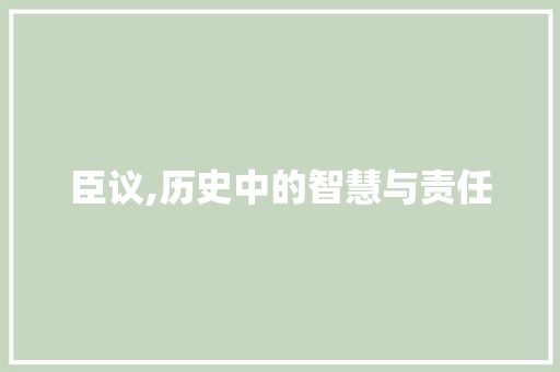 臣议,历史中的智慧与责任