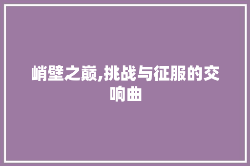 峭壁之巅,挑战与征服的交响曲